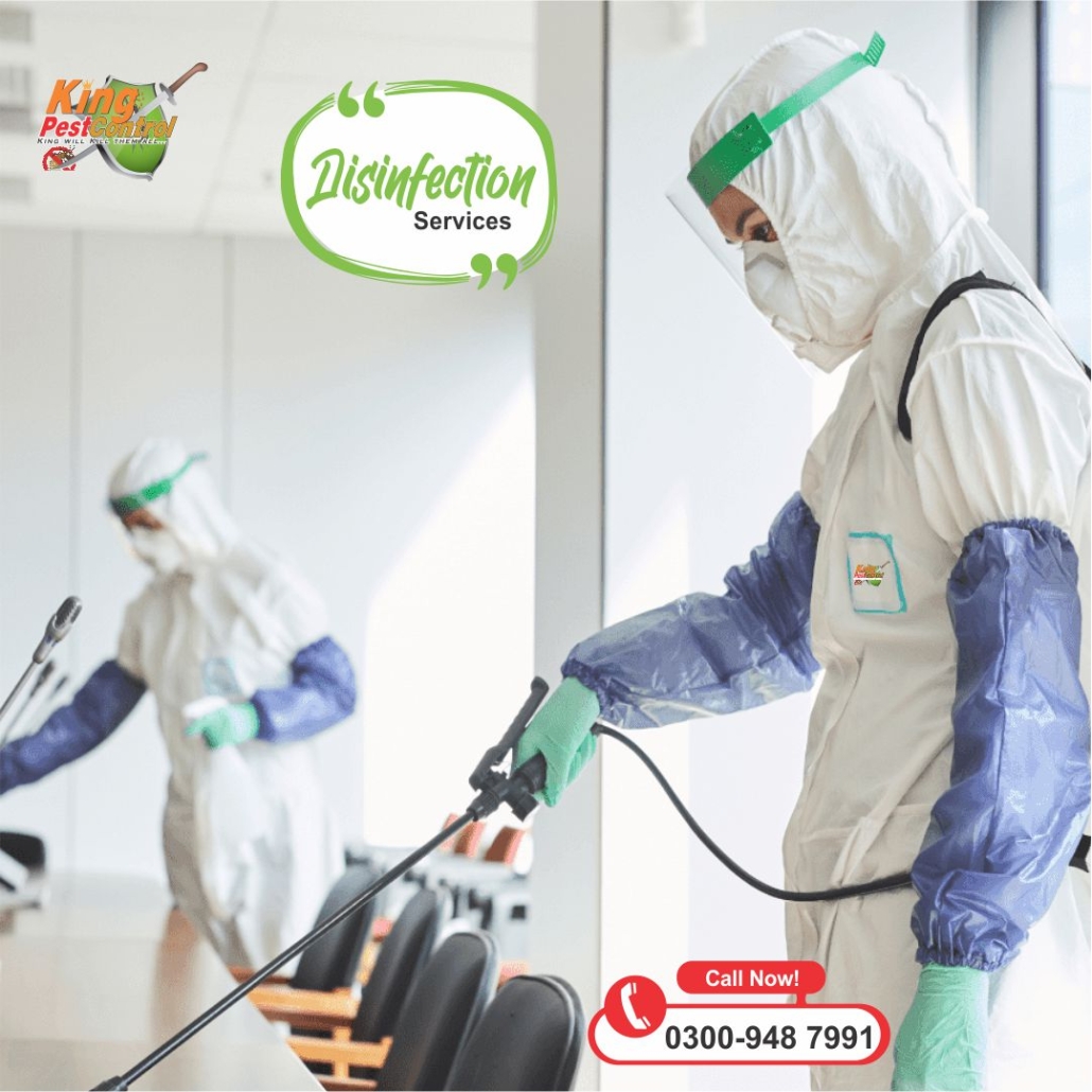 pest control services in Lahore