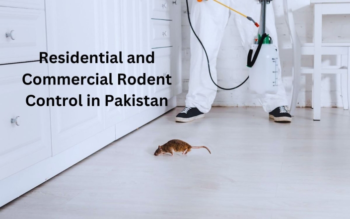 Residential and Commercial Rodent Control Method in Pakistan