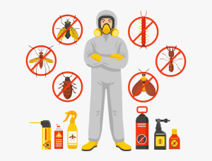 Pest Control Company Near Me in Gulberg Lahore Price